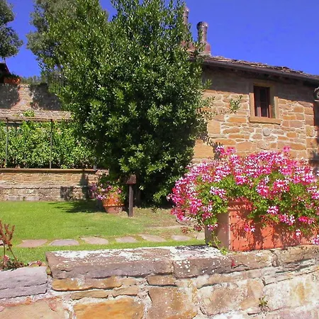 Spacious In With Swimming Pool